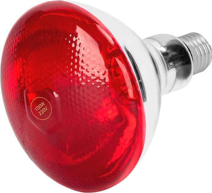 Infrarood Verwarmingslamp 100W - Gloeilamp voor Dieren en Mensen