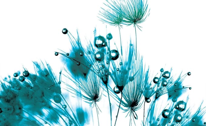 Poster | Turquoise , Wit | 104 x 70,5 cm