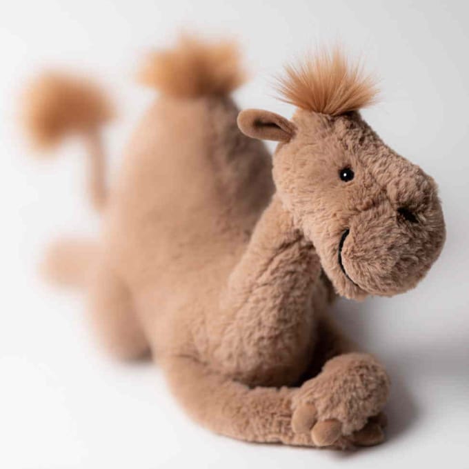 Jellycat knuffel Richie Dromedary