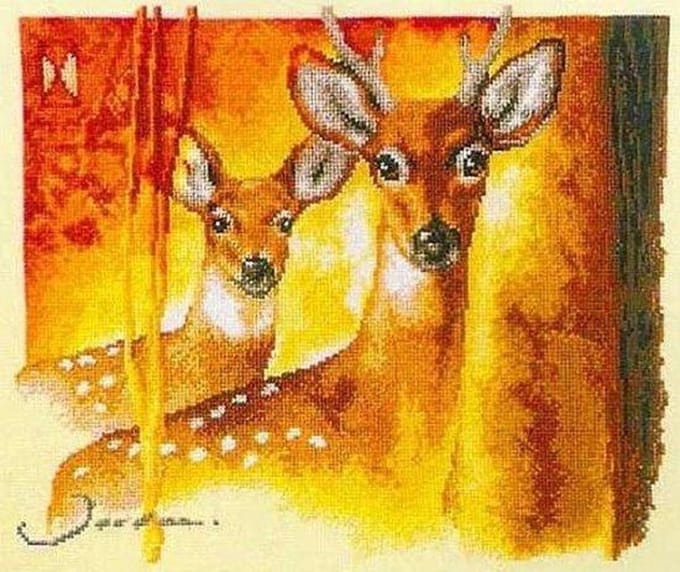 Vervaco Herten Beautiful Eyes borduren (pakket)