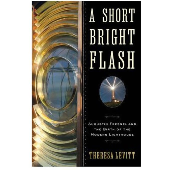 A Short Bright Flash - Levitt, Theresa