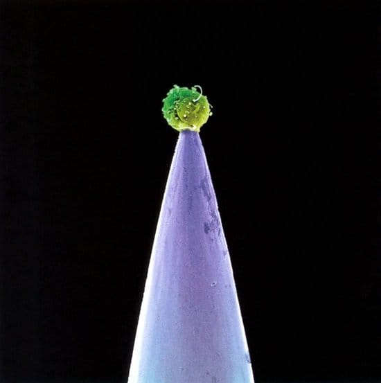 Real World Peter Gabriel-CD