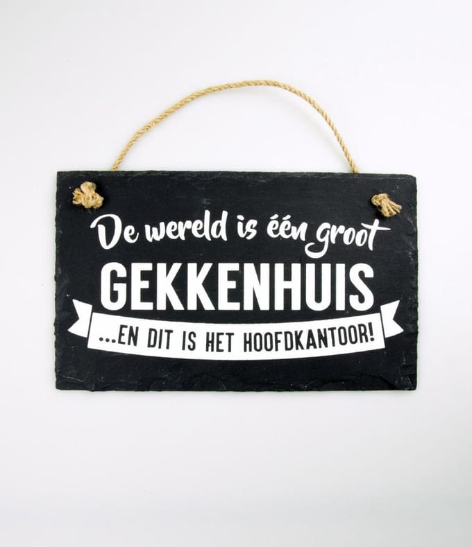 Leisteen - De wereld gekkenhuis