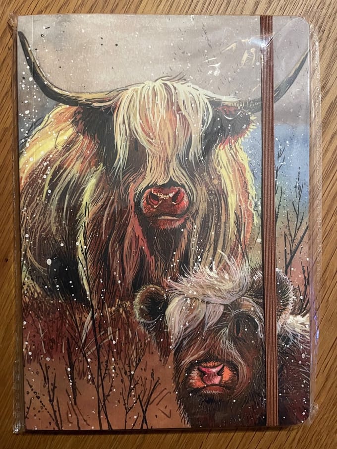 Alex Clark Large Chunky Notebook Highland Cows ~ A5 Notitieboek Hooglanders