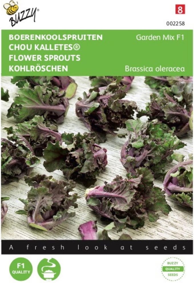 Boerenkoolspruiten, Kalettes Garden Mix F1