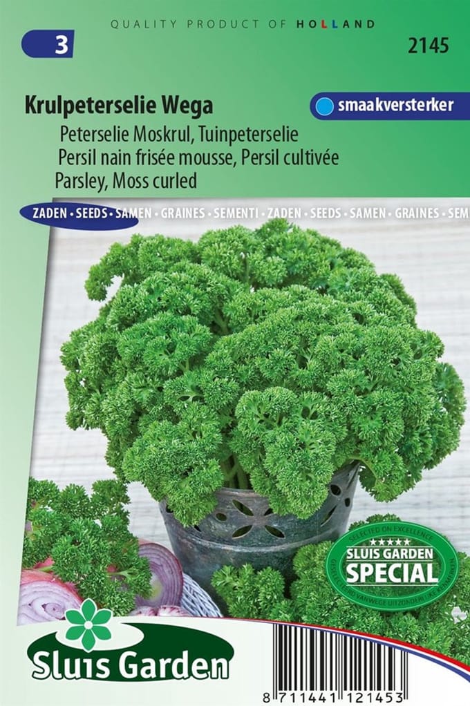 Sluis Garden - Peterselie Xenon (Petroselinum crispum)