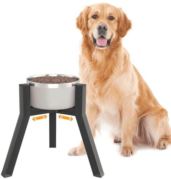 Verstelbare Verhoogde hondenkom voor middelgrote en grote honden - 25 cm hoog