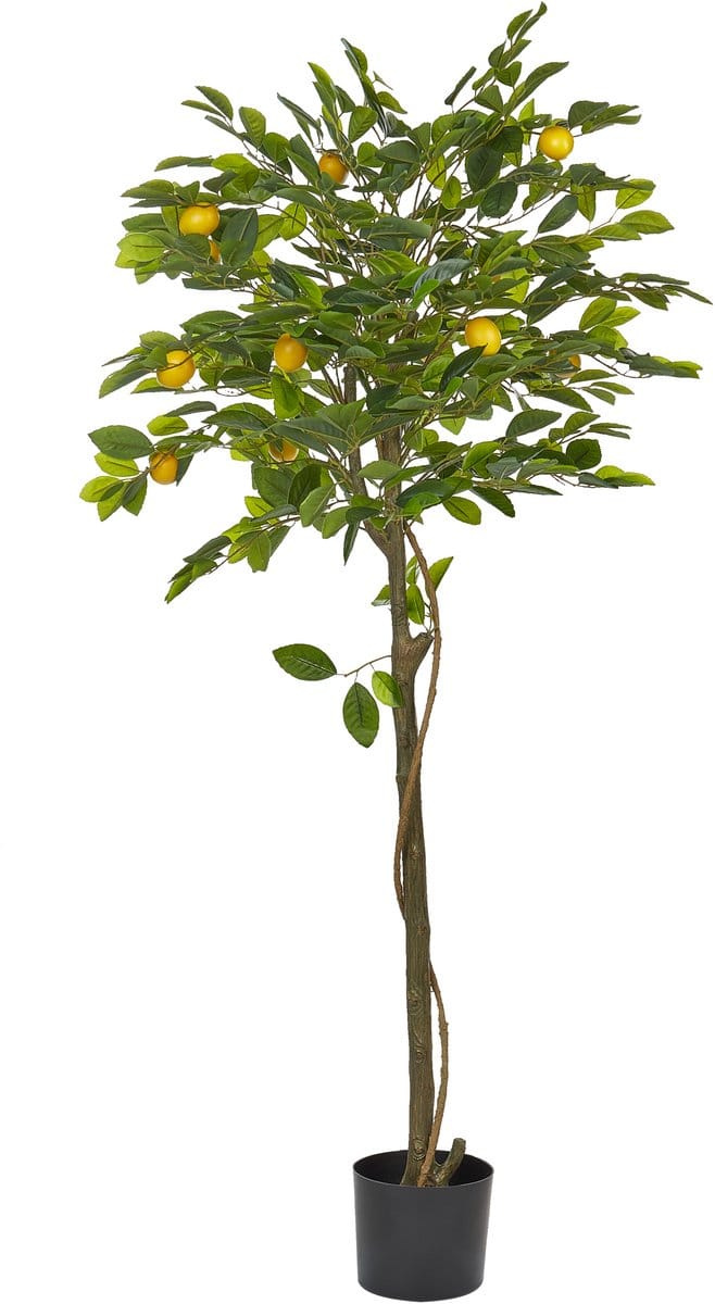 LEMON TREE - Kunstplant - Groen - 156 cm - Synthetisch materiaal