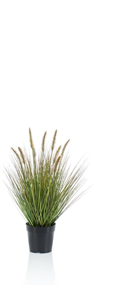 Emerald - Kunstplant Pennisetum Gras 58cm - Kunstplant voor binnen