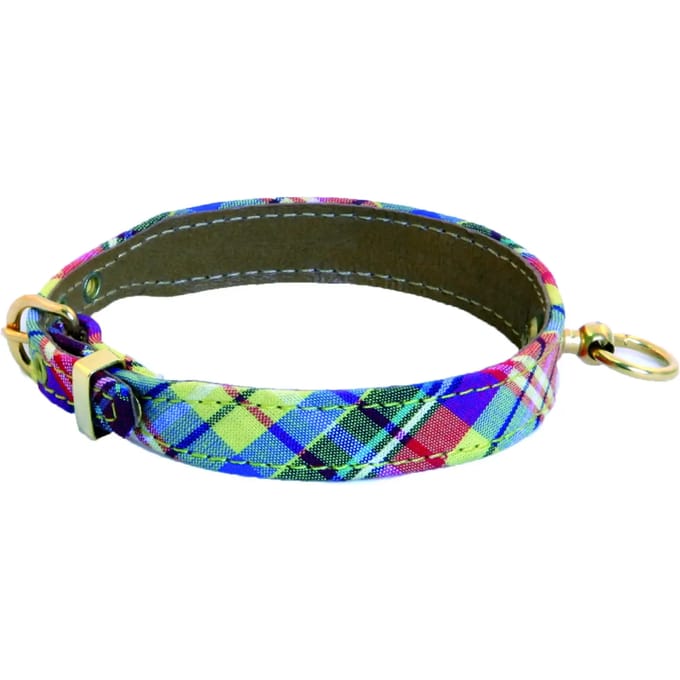 Hondenhalsband Martin Sellier Terrier Benton