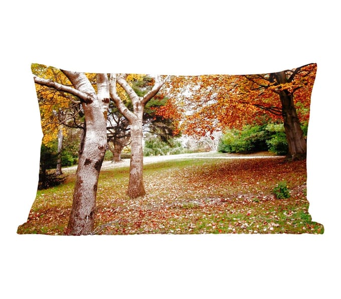 Sierkussens - Kussentjes Woonkamer - 60x40 cm - Herfst - Bomen - Bladeren - natuur