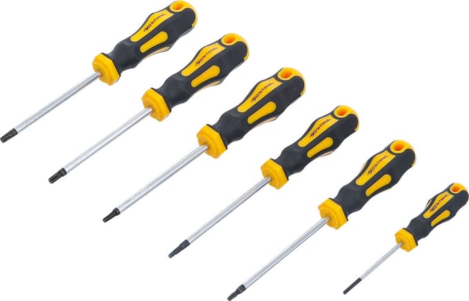 BGS Schroevendraaierset Torx T10 - T30 6 delig