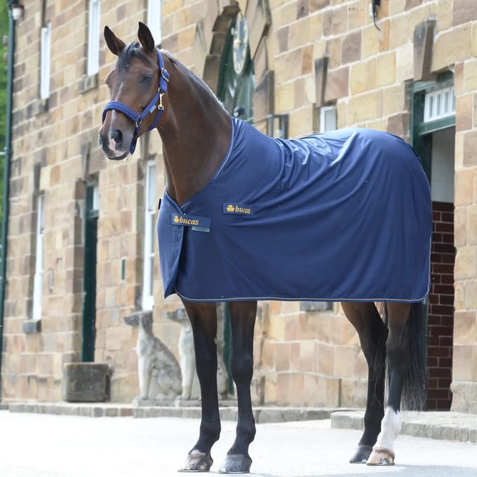 Outdoor paardendeken Bucas Panel Prize Cooler 125g