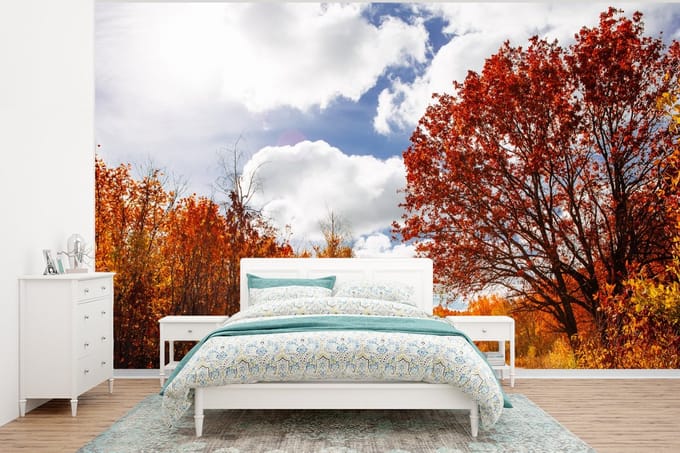 Behang - Fotobehang Boom - Pad - Herfst - Breedte 295 cm x hoogte 220 cm