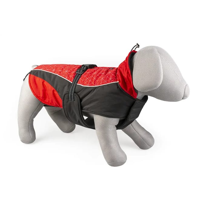 Duvoplus - Dierenkleding - Hond - Hondenjas Hi Vis Casual S - 40cm Rood/zwart - 1st