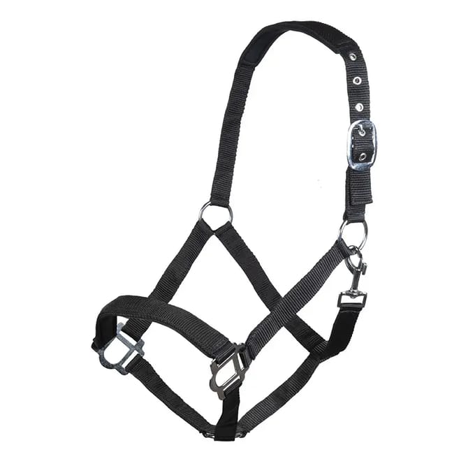 Halster voor paarden HKM Sydney