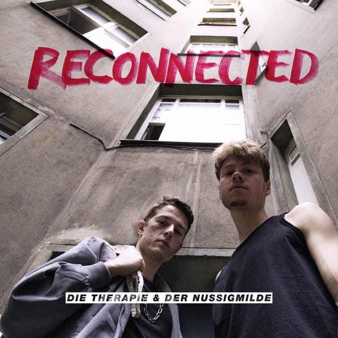 Die Therapie & Der Nussigmilde - Reconnected (CD)