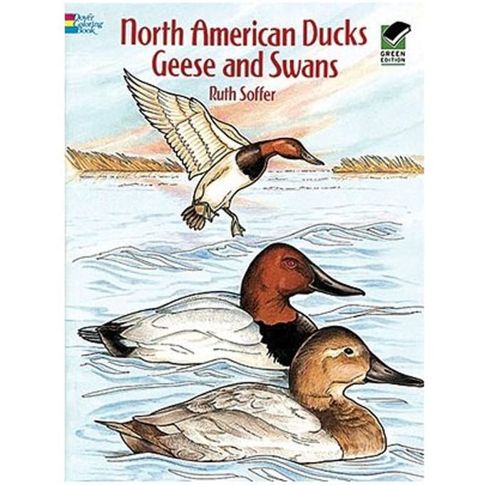 North American Ducks, Geese And Swans - Soffer, Ruth