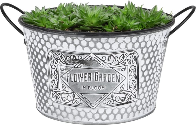 Sunnydays Teil/plantenpot/bloempot - zink - zilver - D22 x H12 cm