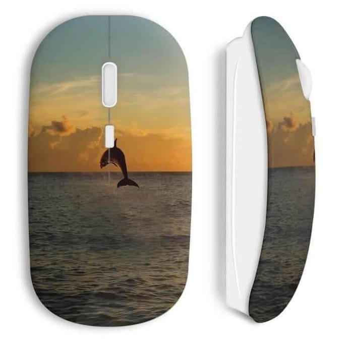 Dolphin Ocean draadloze muis