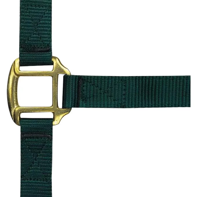 Halter Norton Doublé cuir