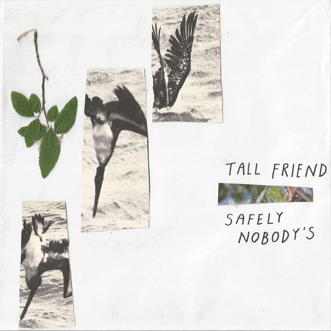Safely Nobodys
