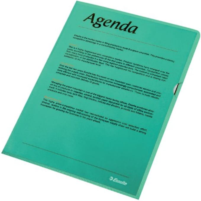 Esselte Standaard Zichtmap A4 - 0,11mm PP Folie - 100 Stuks - Groen