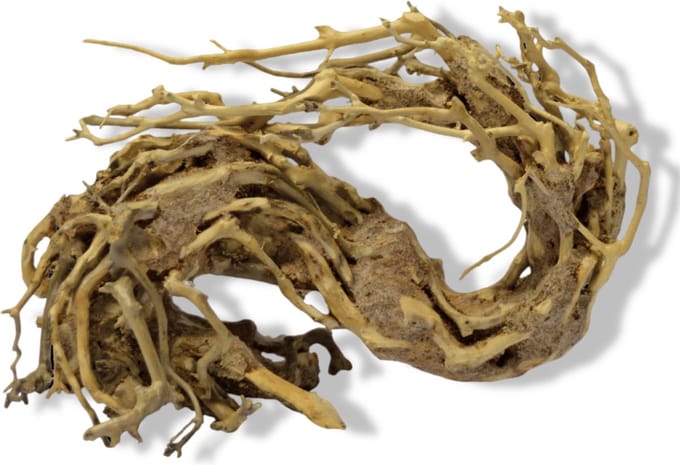 SuperFish - Bonsai Wave Small aquaria