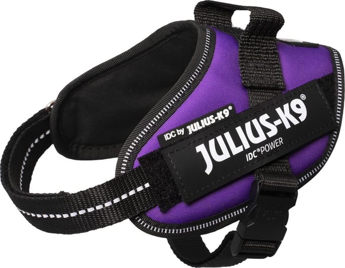 Julius-K9 IDC Powertuig - Hondentuig - XS - Mini-Mini - Dark Purple