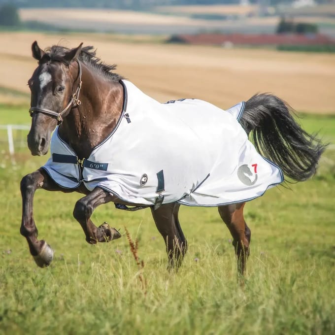 Paardenvliegendeken HorSeven