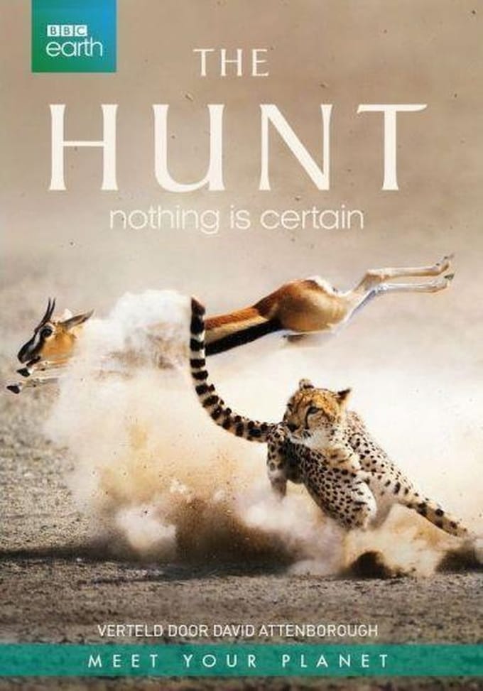 BBC Earth - The Hunt
