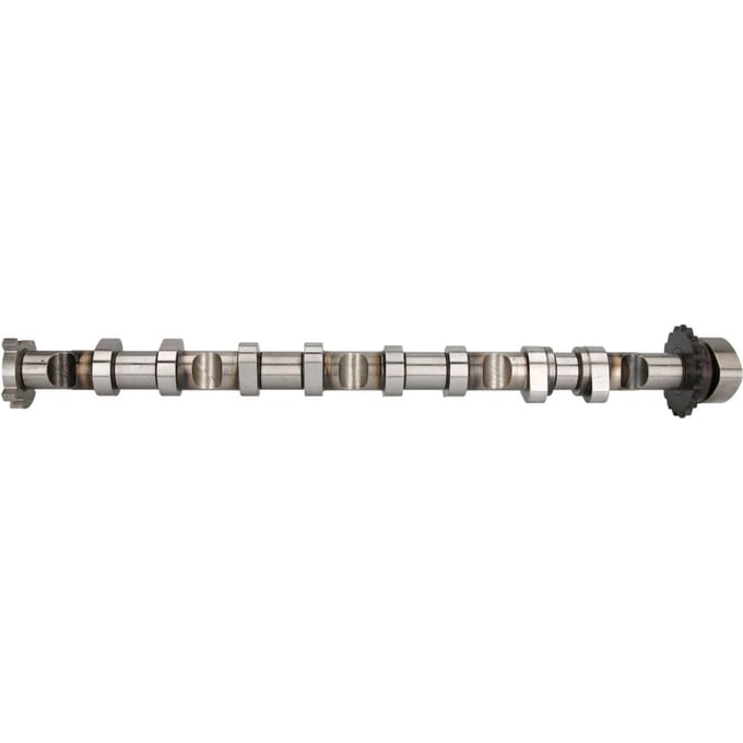 Nokkenas  AE CAM981
