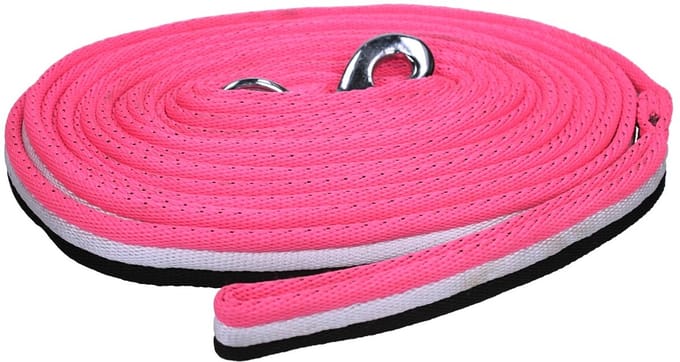 Epplejeck Longeerlijn Epplejeck Bennie Roze
