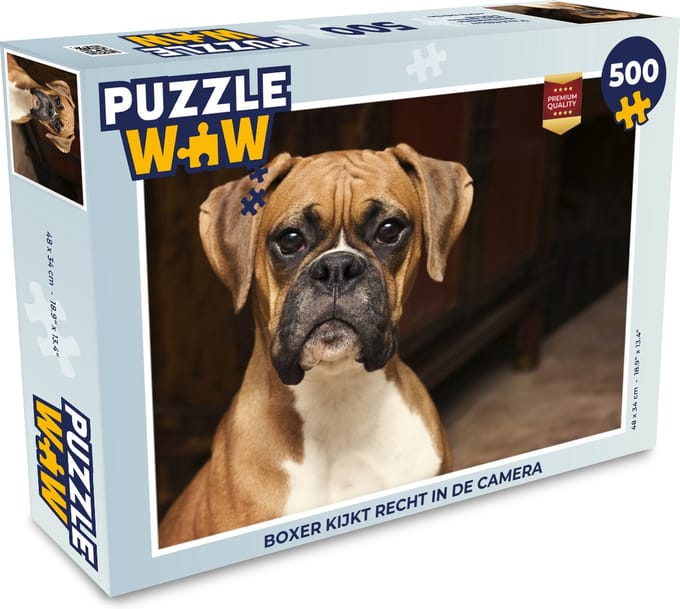 Puzzel Boxer kijkt recht in de camera - Legpuzzel - Puzzel 500 stukjes