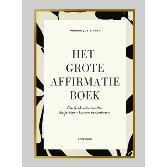 Het Grote Affirmatieboek - Frederique Bicker