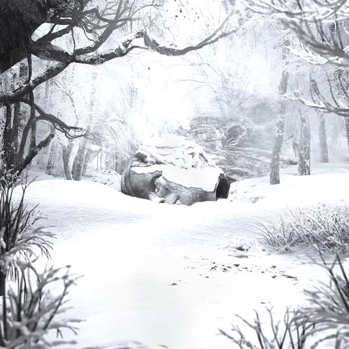 Weezer - Sznz: Winter (LP)