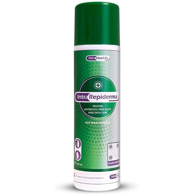 Intracare Repiderma Spray 250ml