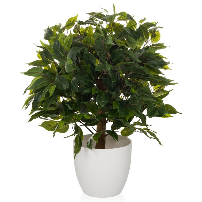 Kunstplant / kunstboom FICUS II 65 cm groen hjh OFFICE