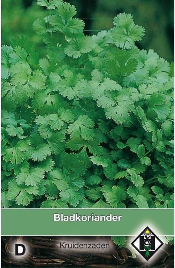 Van Hemert - Bladkoriander zaden