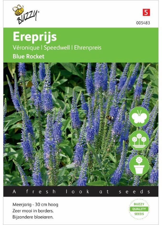 Buzzy® Veronica Spicata (Ereprijs) Blue Rocket