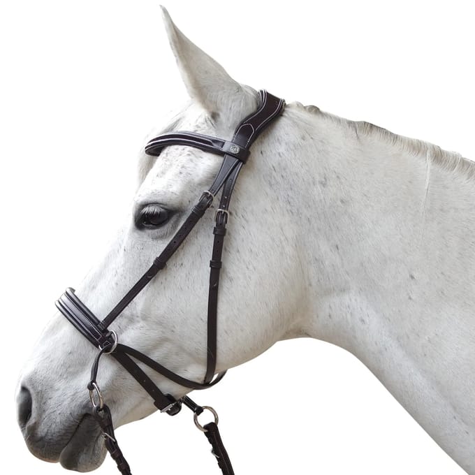 Hoofdstellen voor paarden Canter Bitless Evolution