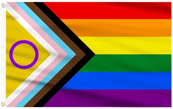 Progress Pride Vlag 1.5m x 90cm Dubbelzijdig met Koperen Oogjes voor Pride Evenementen