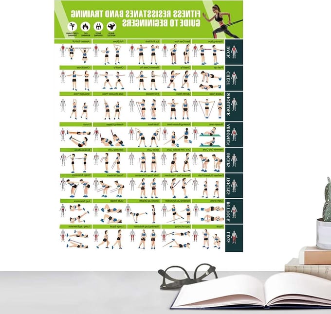 Workout Poster - Oefengrafiek Gids - Thuis Trainen - Gedetailleerde Illustraties - 43 x 57 cm - Niet gespecificeerd