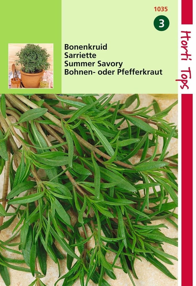 2 stuks - Hortitops - Bonenkruid Eenjarig