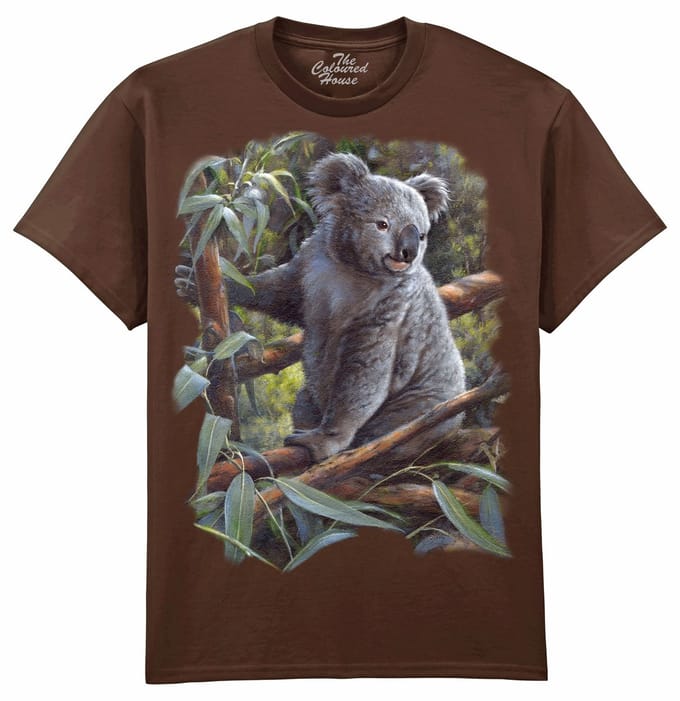 Koala Bear The Coloured House T-shirt M