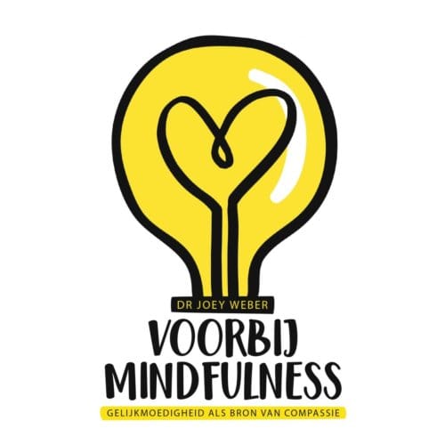 Voorbij Mindfulness - Joey Weber