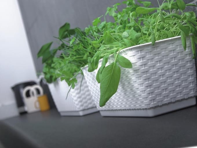 Bloempot Bloembak Ratolla P 49x17x17cm WIT Prosperplast