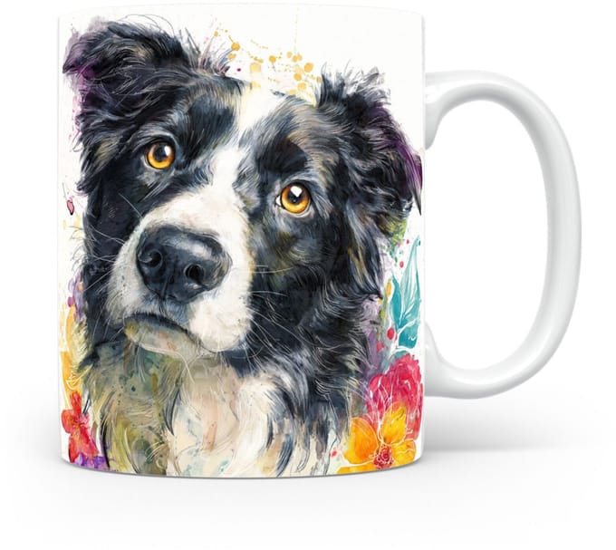 Beker Border Collie