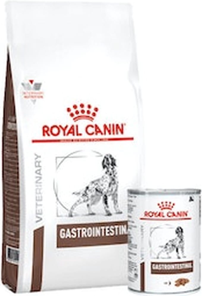 Royal Canin Gastro Intestinal hond Combi bundel - 15 kg + 12 x 400 gr