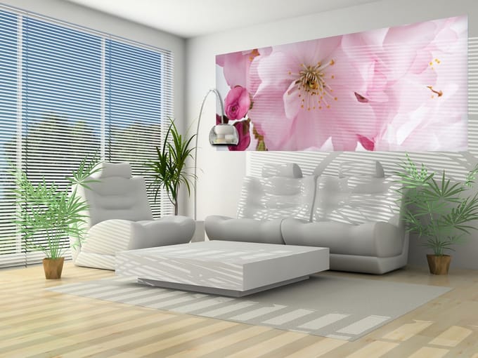 Flowers Blossoms Nature Pink Photo Wallcovering